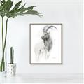 Picture of Ram Charcoal _GroupedProduct_Rectangle_Portrait_Canvas_Framed_