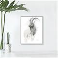 Picture of Ram Charcoal _GroupedProduct_Rectangle_Portrait_Canvas_Framed_