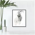 Picture of Ram Charcoal _GroupedProduct_Rectangle_Portrait_Canvas_Framed_