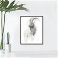 Picture of Ram Charcoal _GroupedProduct_Rectangle_Portrait_Canvas_Framed_