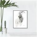 Picture of Ram Charcoal _GroupedProduct_Rectangle_Portrait_Canvas_Framed_