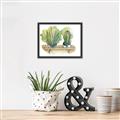 Picture of Splashed Cactus I  _GroupedProduct_Rectangle_Landscape_Canvas_Framed_