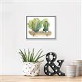 Picture of Splashed Cactus I  _GroupedProduct_Rectangle_Landscape_Canvas_Framed_