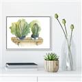 Picture of Splashed Cactus I  _GroupedProduct_Rectangle_Landscape_Canvas_Framed_