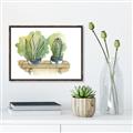 Picture of Splashed Cactus I  _GroupedProduct_Rectangle_Landscape_Canvas_Framed_