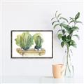 Picture of Splashed Cactus I  _GroupedProduct_Rectangle_Landscape_Canvas_Framed_