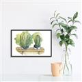 Picture of Splashed Cactus I  _GroupedProduct_Rectangle_Landscape_Canvas_Framed_