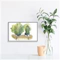 Picture of Splashed Cactus I  _GroupedProduct_Rectangle_Landscape_Canvas_Framed_