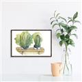 Picture of Splashed Cactus I  _GroupedProduct_Rectangle_Landscape_Canvas_Framed_