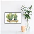 Picture of Splashed Cactus I  _GroupedProduct_Rectangle_Landscape_Canvas_Framed_