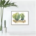 Picture of Splashed Cactus I  _GroupedProduct_Rectangle_Landscape_Canvas_Framed_