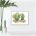 Picture of Splashed Cactus I  _GroupedProduct_Rectangle_Landscape_Canvas_Framed_