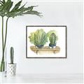Picture of Splashed Cactus I  _GroupedProduct_Rectangle_Landscape_Canvas_Framed_