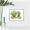 Picture of Splashed Cactus I  _GroupedProduct_Rectangle_Landscape_Canvas_Framed_