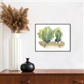 Picture of Splashed Cactus I  _GroupedProduct_Rectangle_Landscape_Canvas_Framed_