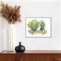 Picture of Splashed Cactus I  _GroupedProduct_Rectangle_Landscape_Canvas_Framed_