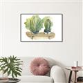 Picture of Splashed Cactus I  _GroupedProduct_Rectangle_Landscape_Canvas_Framed_