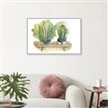 Picture of Splashed Cactus I  _GroupedProduct_Rectangle_Landscape_Canvas_Framed_