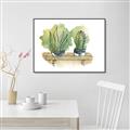 Picture of Splashed Cactus I  _GroupedProduct_Rectangle_Landscape_Canvas_Framed_