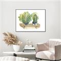Picture of Splashed Cactus I  _GroupedProduct_Rectangle_Landscape_Canvas_Framed_