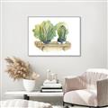 Picture of Splashed Cactus I  _GroupedProduct_Rectangle_Landscape_Canvas_Framed_