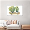 Picture of Splashed Cactus I  _GroupedProduct_Rectangle_Landscape_Canvas_Framed_