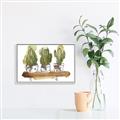 Picture of Splashed Cactus II  _GroupedProduct_Rectangle_Landscape_Canvas_Framed_