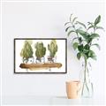 Picture of Splashed Cactus II  _GroupedProduct_Rectangle_Landscape_Canvas_Framed_