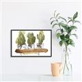Picture of Splashed Cactus II  _GroupedProduct_Rectangle_Landscape_Canvas_Framed_