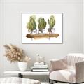 Picture of Splashed Cactus II  _GroupedProduct_Rectangle_Landscape_Canvas_Framed_