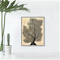 Picture of Neutral Coral II  _GroupedProduct_Rectangle_Portrait_Canvas_Framed_