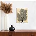 Picture of Neutral Coral II  _GroupedProduct_Rectangle_Portrait_Canvas_Framed_