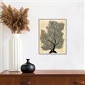 Picture of Neutral Coral II  _GroupedProduct_Rectangle_Portrait_Canvas_Framed_