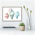 Picture of Seashells I  _GroupedProduct_Rectangle_Landscape_Canvas_Framed_