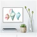 Picture of Seashells I  _GroupedProduct_Rectangle_Landscape_Canvas_Framed_