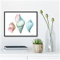 Picture of Seashells I  _GroupedProduct_Rectangle_Landscape_Canvas_Framed_