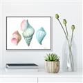 Picture of Seashells I  _GroupedProduct_Rectangle_Landscape_Canvas_Framed_