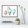 Picture of Seashells I  _GroupedProduct_Rectangle_Landscape_Canvas_Framed_
