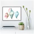 Picture of Seashells I  _GroupedProduct_Rectangle_Landscape_Canvas_Framed_