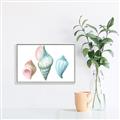 Picture of Seashells I  _GroupedProduct_Rectangle_Landscape_Canvas_Framed_