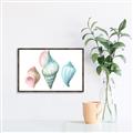 Picture of Seashells I  _GroupedProduct_Rectangle_Landscape_Canvas_Framed_