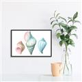Picture of Seashells I  _GroupedProduct_Rectangle_Landscape_Canvas_Framed_