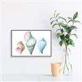 Picture of Seashells I  _GroupedProduct_Rectangle_Landscape_Canvas_Framed_