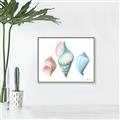 Picture of Seashells I  _GroupedProduct_Rectangle_Landscape_Canvas_Framed_
