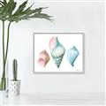 Picture of Seashells I  _GroupedProduct_Rectangle_Landscape_Canvas_Framed_