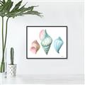 Picture of Seashells I  _GroupedProduct_Rectangle_Landscape_Canvas_Framed_