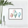 Picture of Seashells I  _GroupedProduct_Rectangle_Landscape_Canvas_Framed_