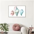 Picture of Seashells I  _GroupedProduct_Rectangle_Landscape_Canvas_Framed_