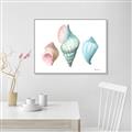 Picture of Seashells I  _GroupedProduct_Rectangle_Landscape_Canvas_Framed_