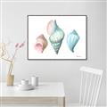 Picture of Seashells I  _GroupedProduct_Rectangle_Landscape_Canvas_Framed_